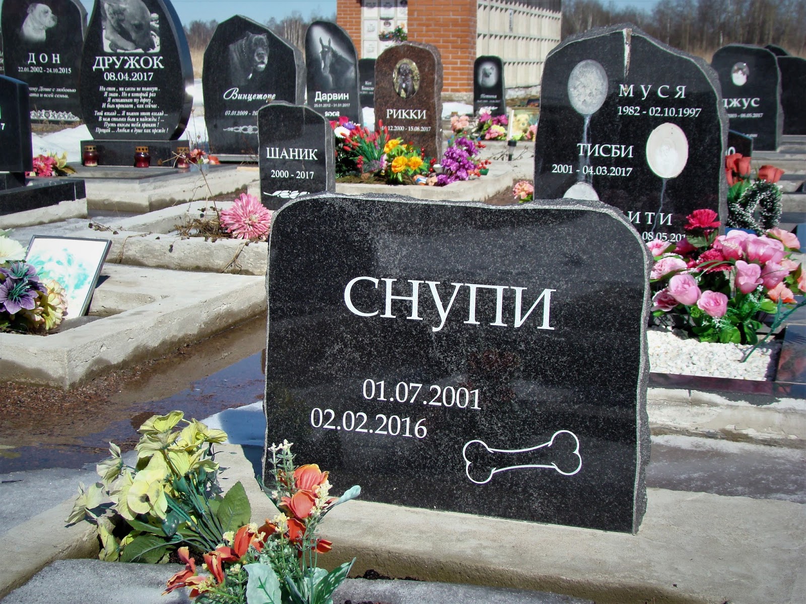 Городское кладбище животных в СПБ