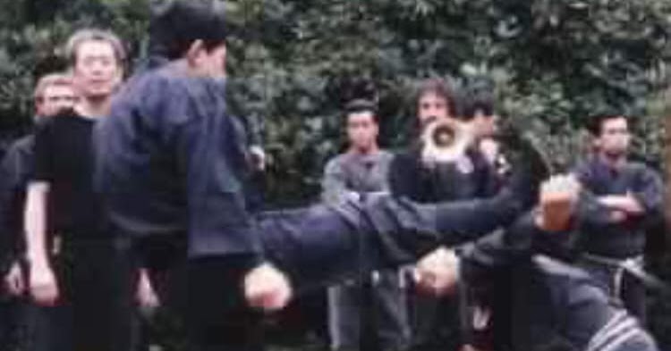 Στιγμές από TAI KAI