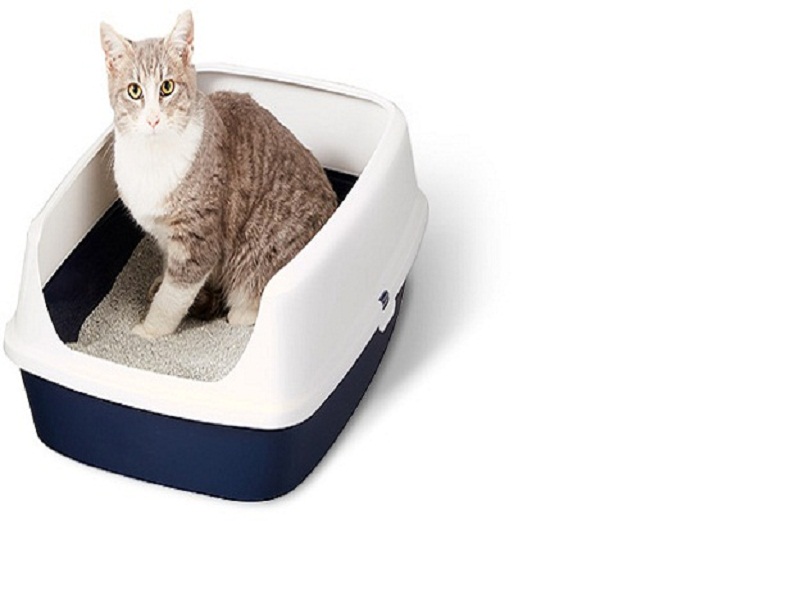 Plastic Cat litter box The perfect cat accessory