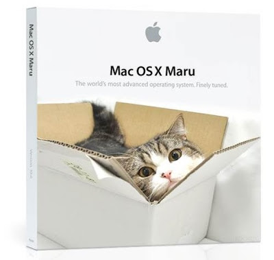 list of all mac os names and year