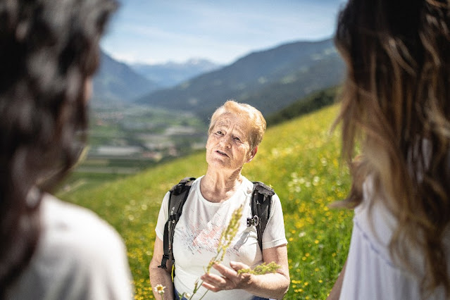 forest bathing benefici terapia significato