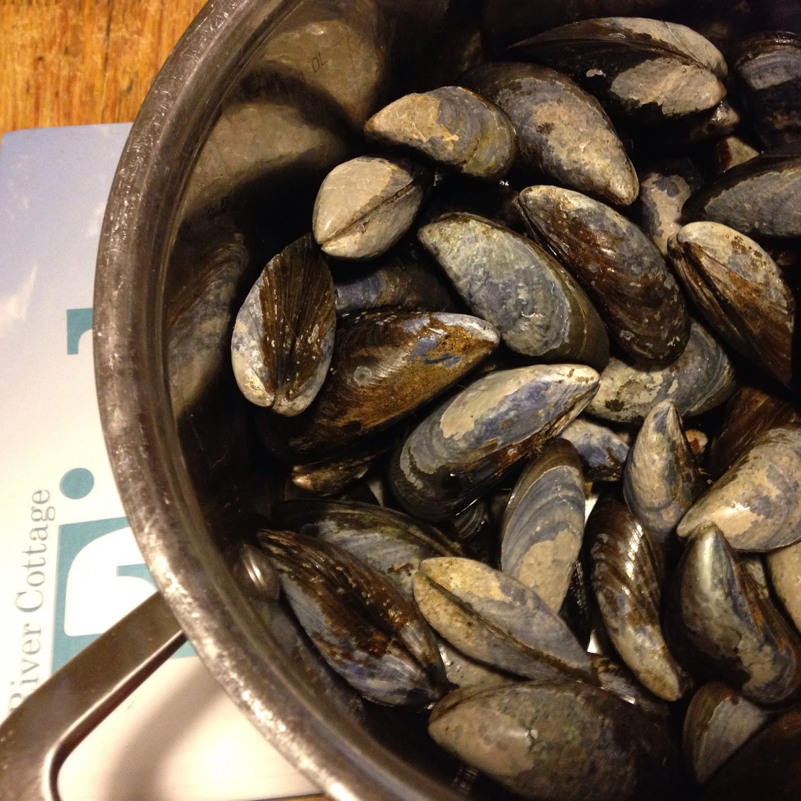 Recipe Junkie and the attack of the custard creams Welsh Mussels