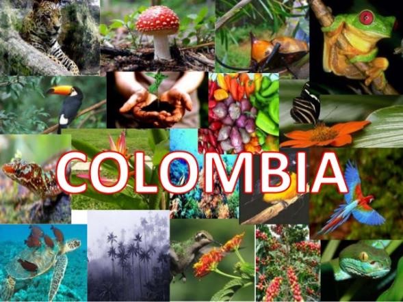 Biodiversidad de Colombia