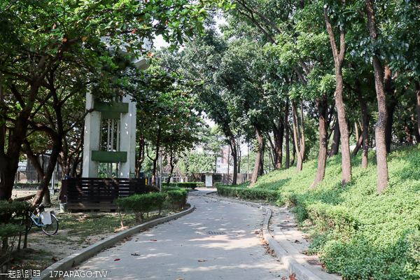 健康公園|台中南區白花美人樹|白色和桃紅色美人花爭奇鬥艷