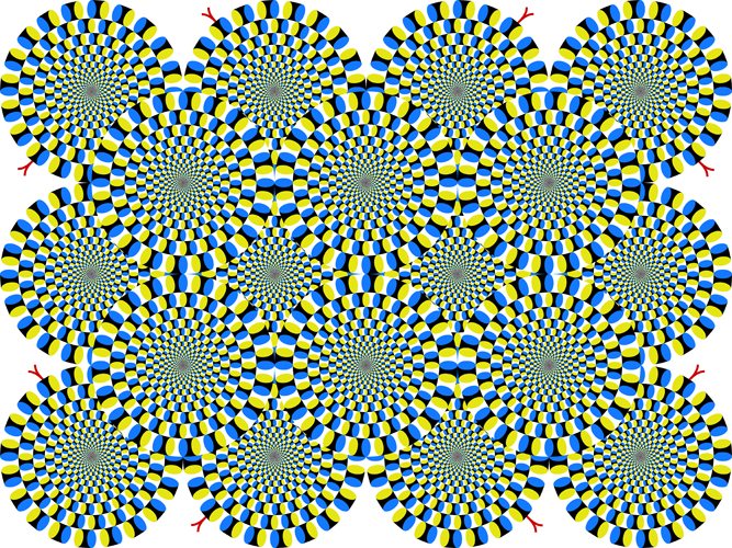 733CA6F77BFE7A98756E1A69F1B5004A.jpg