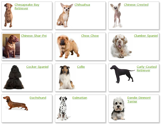 Dog Breeds List, dog breeds a-z