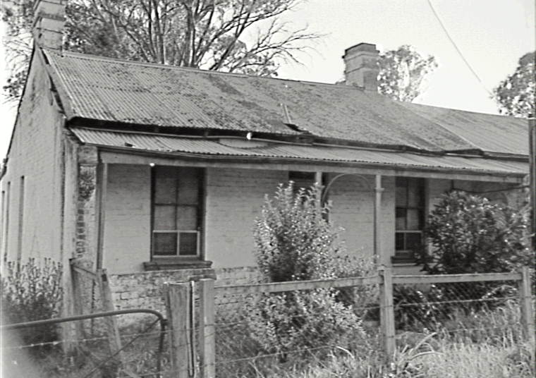 The History Buff Cora Lynn