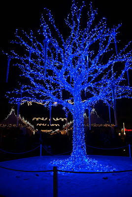 icy blue light tree