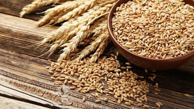 Prakarya Tugas Prakarya