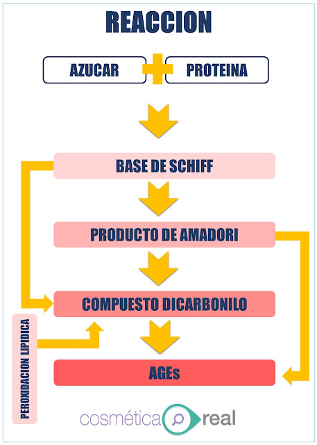 Porque te vuelves amarilla cetrina a partir de los 30 y tu colageno se estropea: AGEs, Advenced glycation End Products