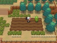 Pokemon White Deluxe Screenshot 00