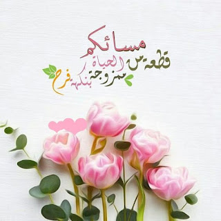 اجمل الصور مساء الخير اجمل الصور مساء الخير