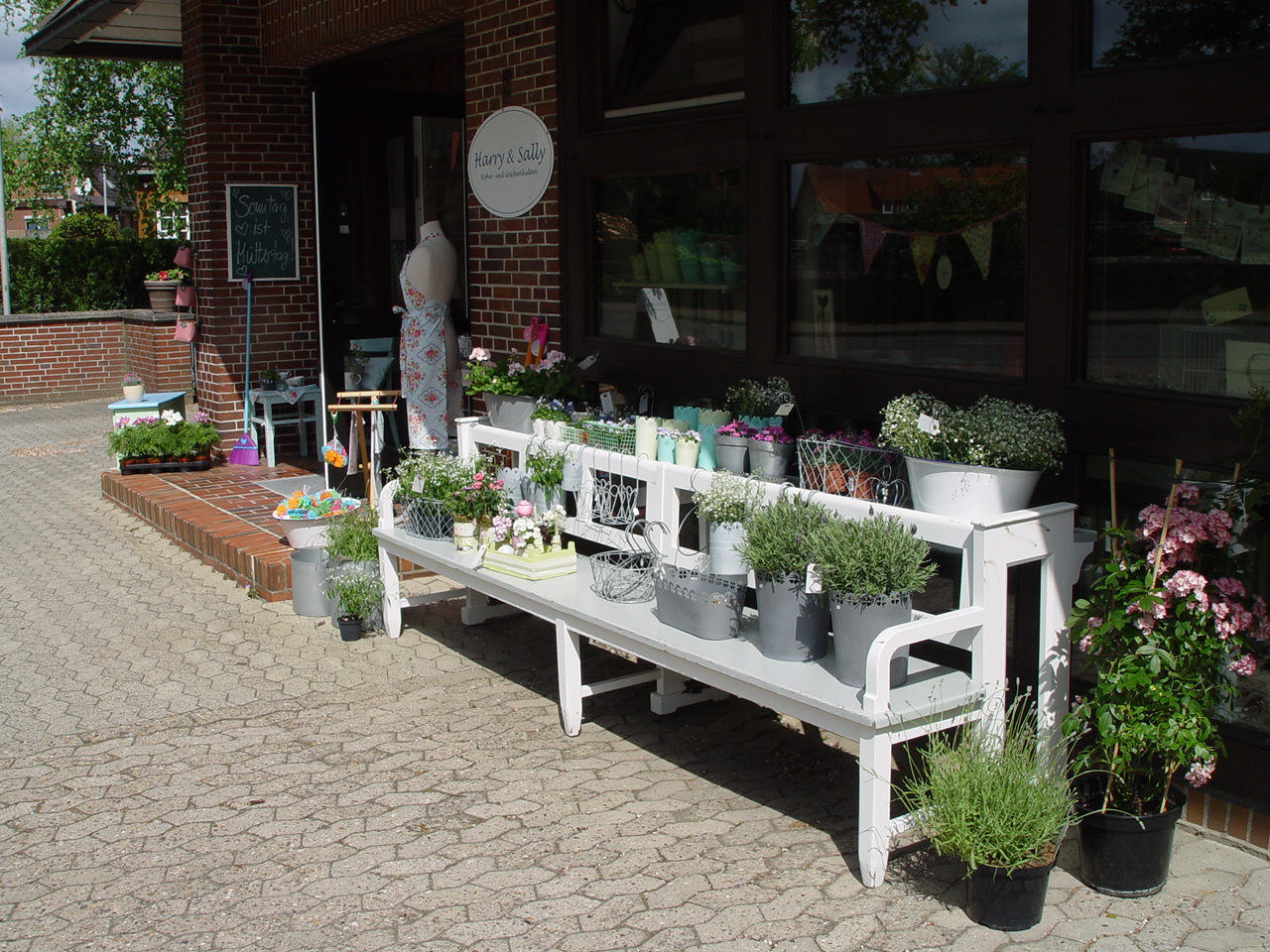 Sallys Zuhause Pflanzen im Laden und Garten
