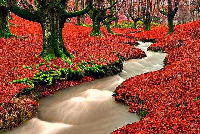 ���� �������