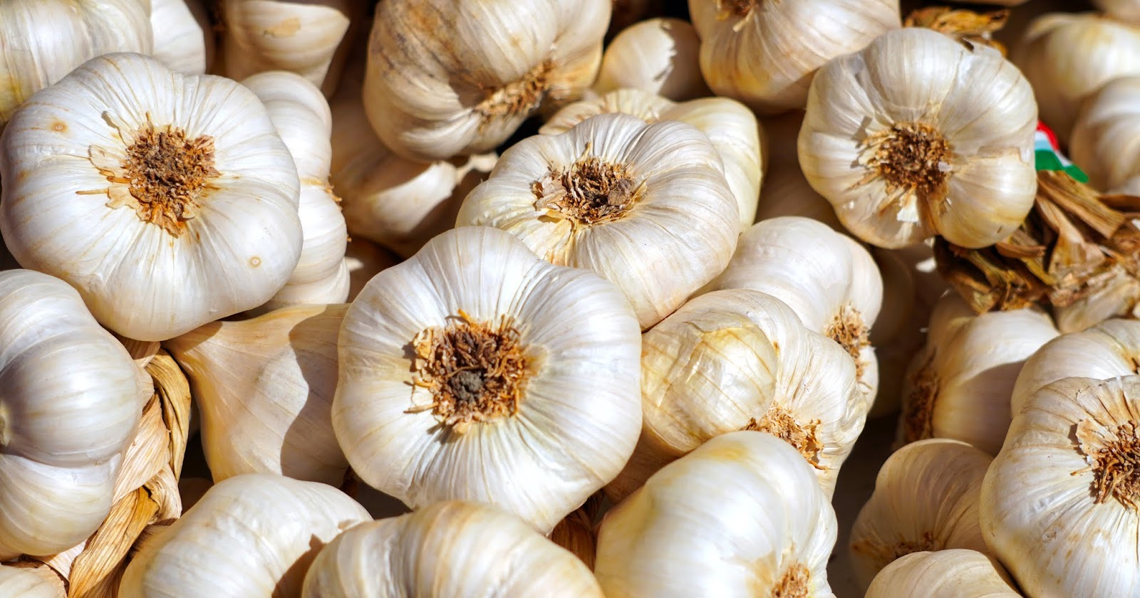 Be careful when eating too much garlic types of skin problems on face