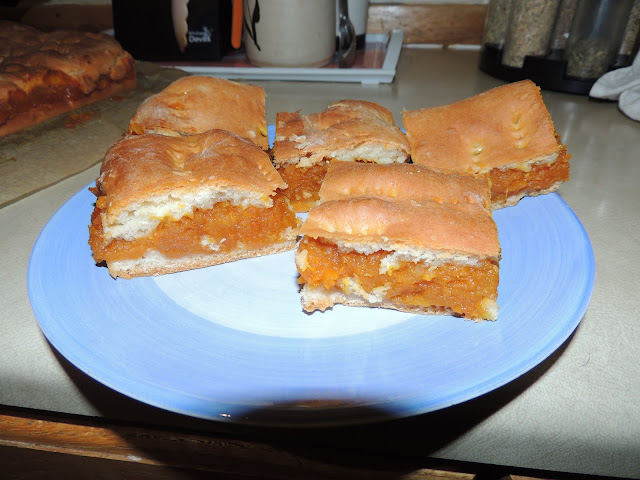 Placinta Cu Dovleac 2- Pumpkin Pie 2