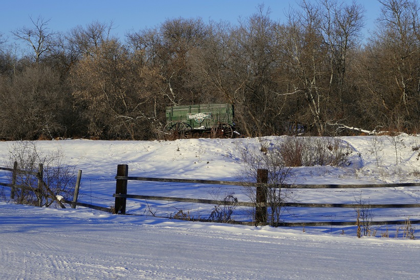 Past Presence Rosemount Farm