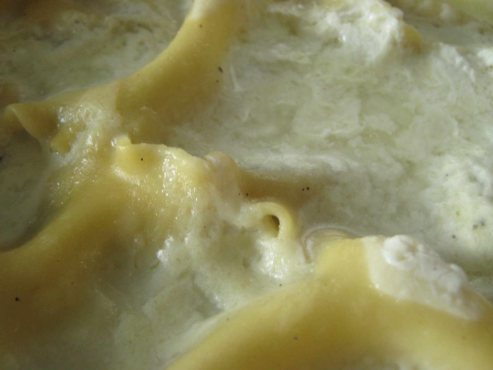 Rindy Mae Asparagus Lasagna