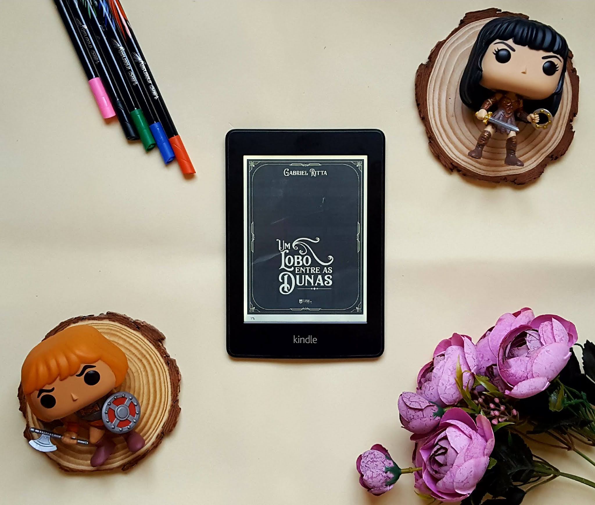 Um lobo entre as dunas | Gabriel Ritta Um lobo entre as dunas | Gabriel Ritta