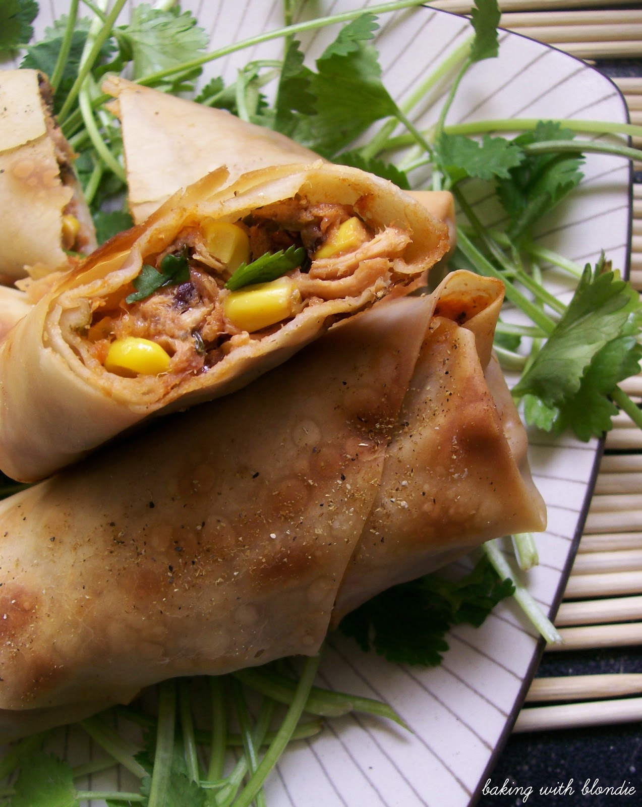 Baked Southwestern Pork Taquitos