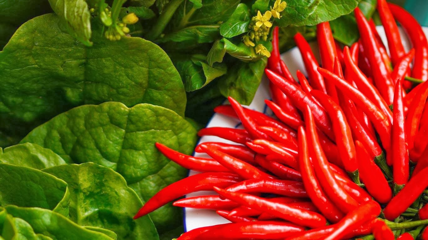 Hot Red Chilli Hd Wallpapers HD Wallpapers