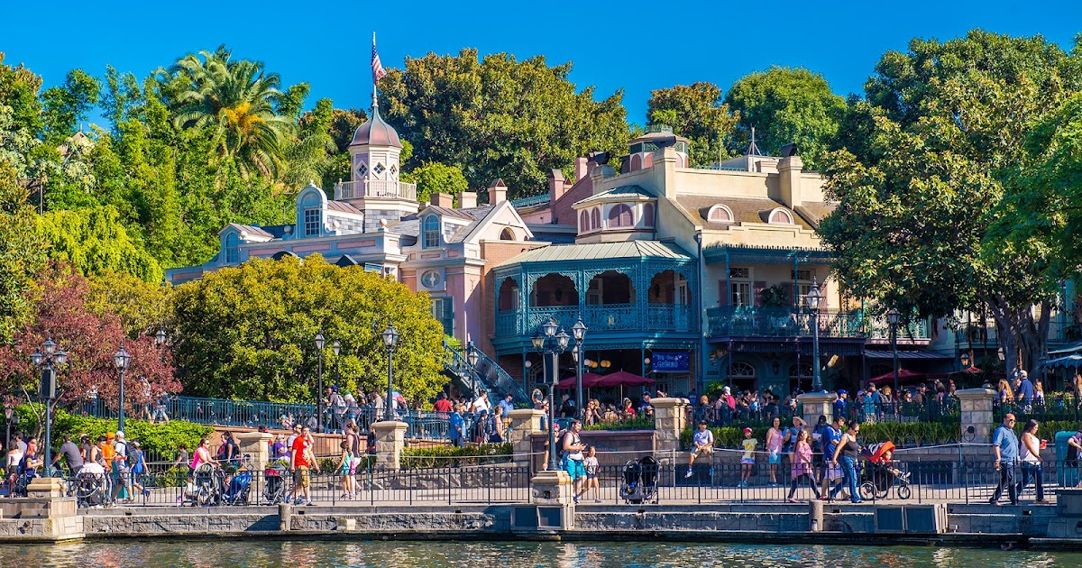 The City And The World Back To New Orleans