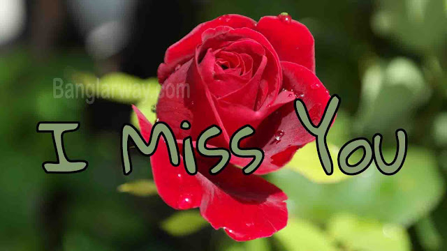 I miss you in bengali  image