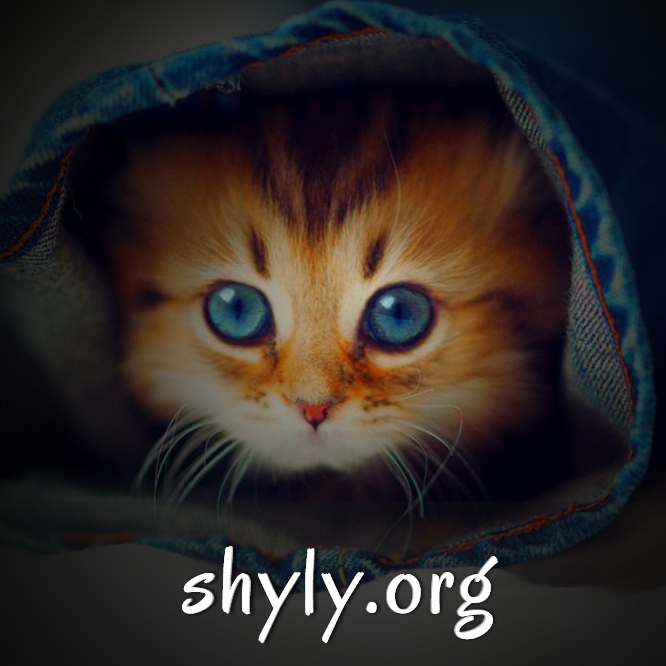 shyly.org.jpg