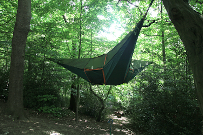 tentsile-11.jpg