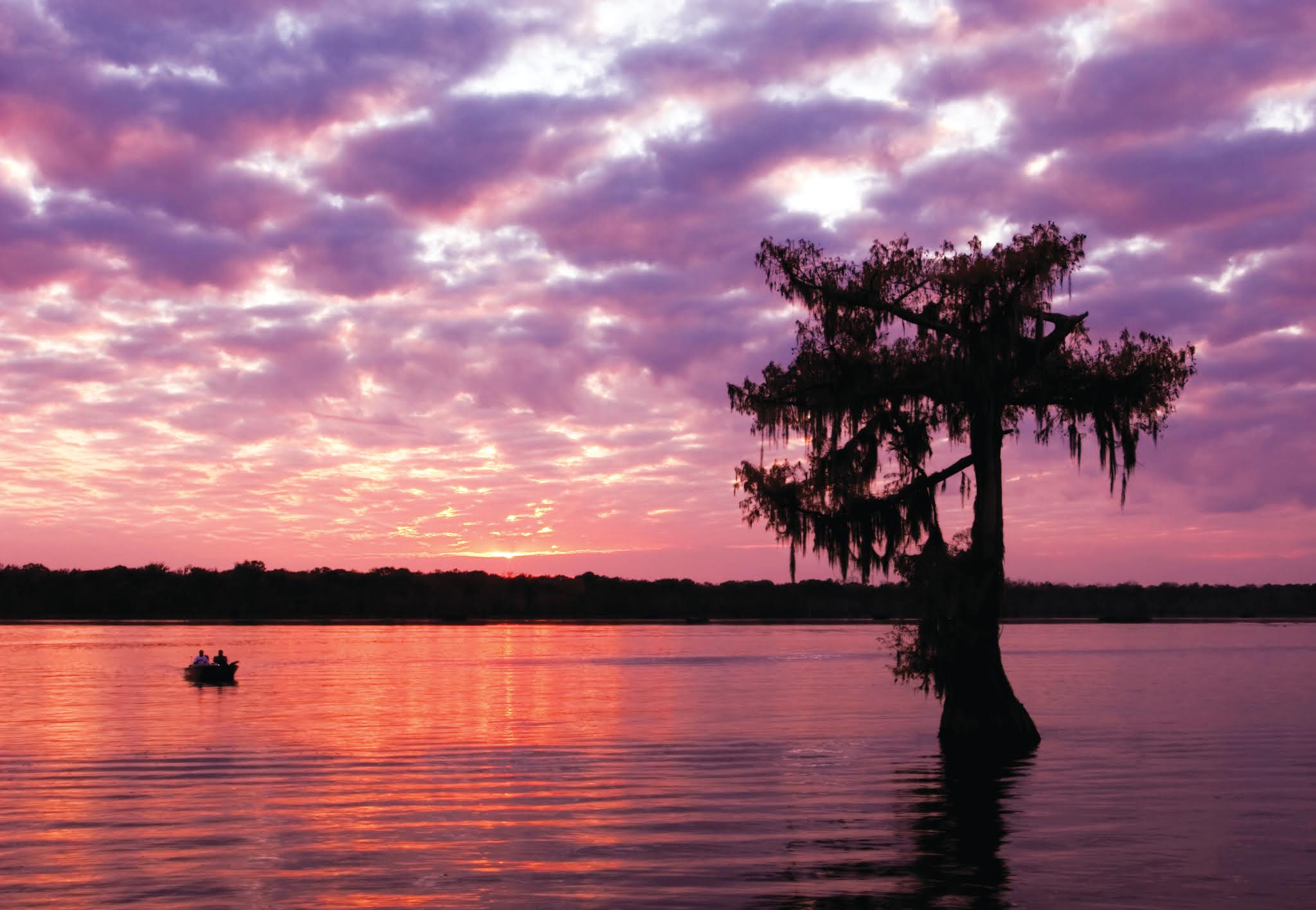 A Traveler's Guide To The Galaxy Louisiana is a Trip! Take One Today