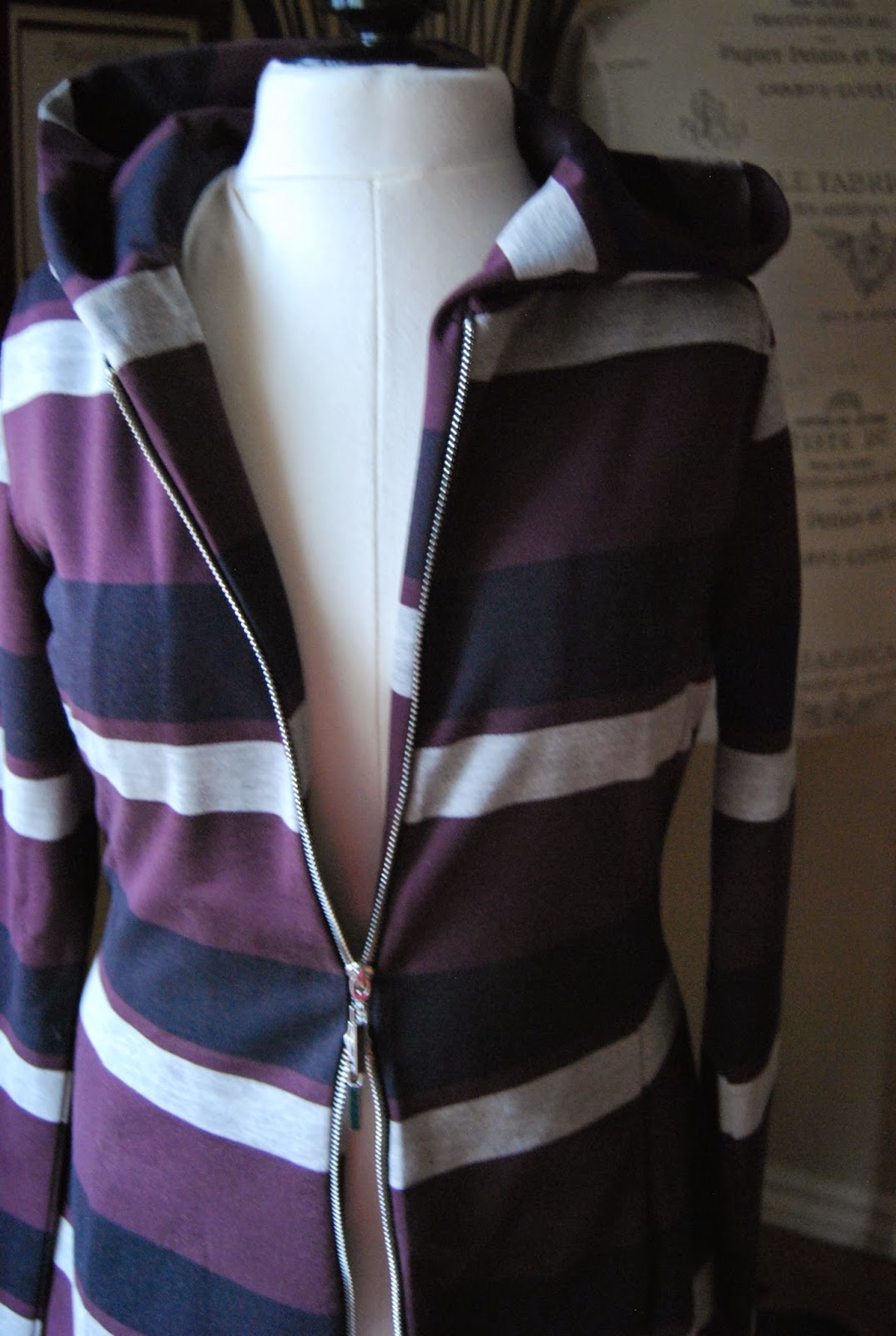 The Sewing Diet Striped Hooded Jacket