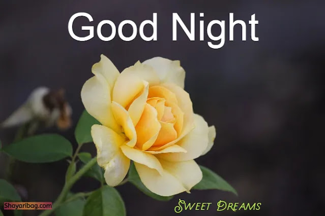 Good Night Images Good Night Images