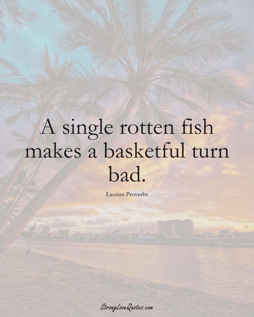 A single rotten fish makes a basketful turn bad. (Laotian Sayings);  #aVarietyofCulturesSayings