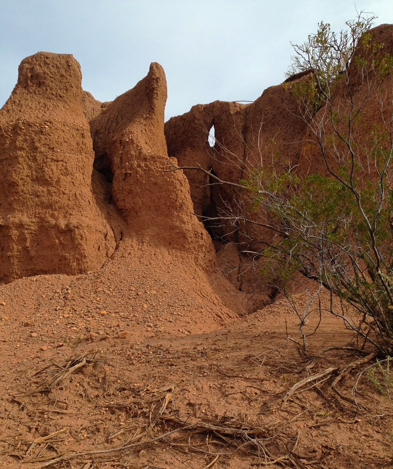 Southern New Mexico Explorer Toby Hole Mcleod Hills( Caballo Mountains)
