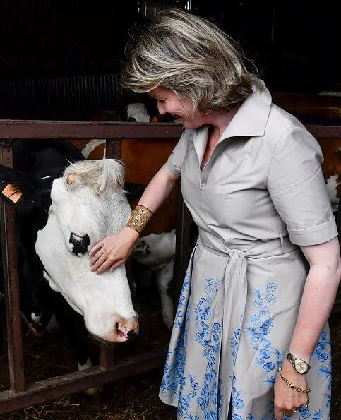 Queen Mathilde visited a farm breeds cattle, grows crops and strawberries and focuses on green care. beige cotton midi shirt dress embroidered