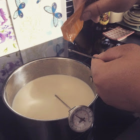 Warming up milk for cheese