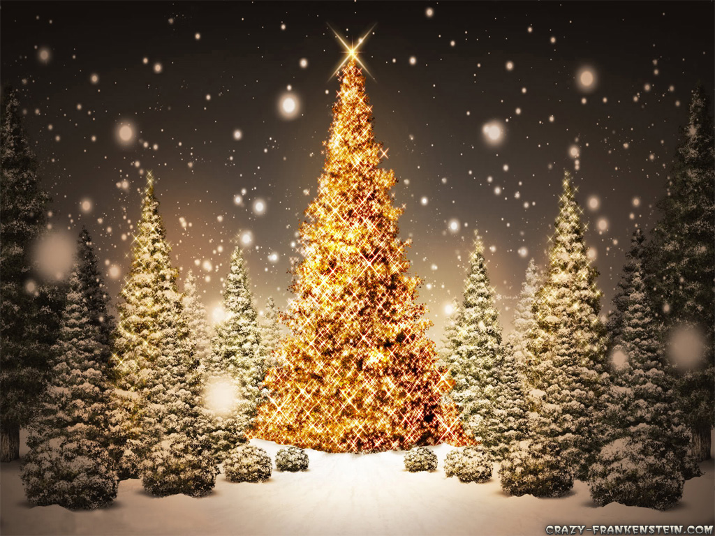 http://1.bp.blogspot.com/-XqUWU6GHxUY/Tuw0gtzcomI/AAAAAAAAALE/rh6ac5DYZWo/s1600/christmas-tree-sparkling-wallpapers-1024x768.jpg