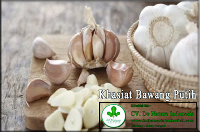 Cara Mengobati Kutil Kelamin Herbal Menggunakan Bawang Putih