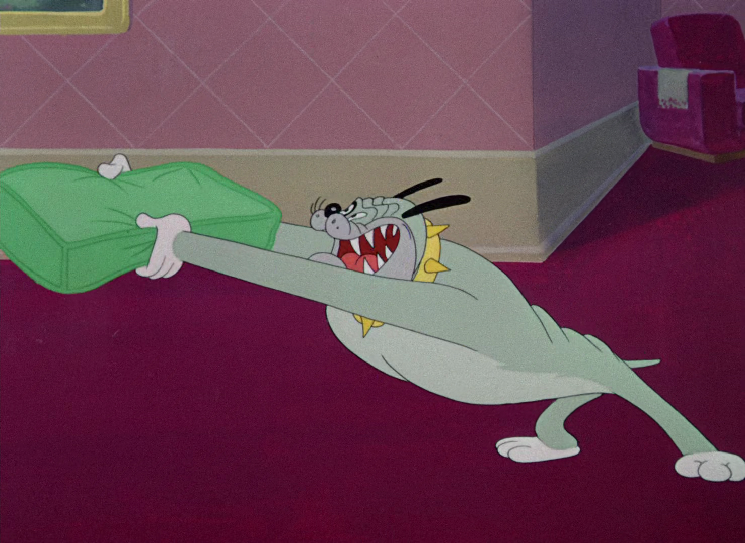 Tralfaz Crashing Kitten