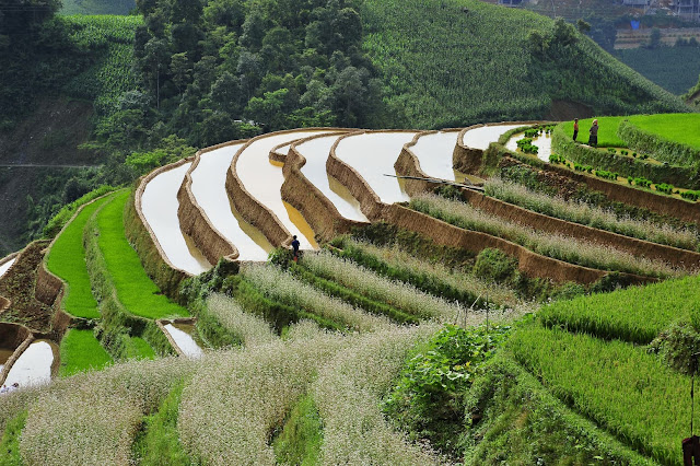 mu-cang-chai-nord-vietnam