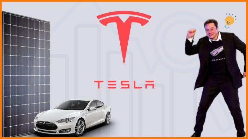 Elon Musk tiết lộ bài học để đời cho các công ty khởi nghiệp ô tô điện