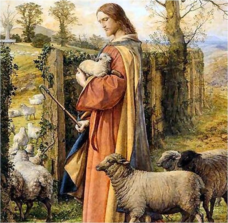 Liturgia diaria meditada - Él es el pastor. Y Él es la puerta (Jn 10,1-10) 07/05 | Parroquia Ntra Sra de la Salud