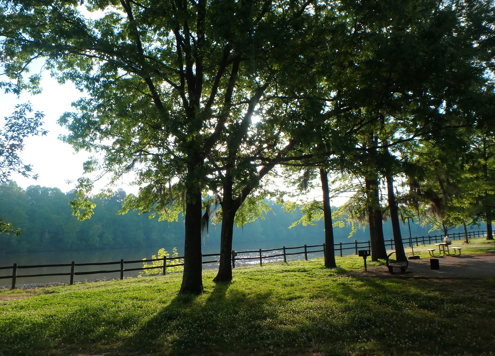 PAMPERED PENGUIN April 1316, 2018 Service Campground, Coffeeville