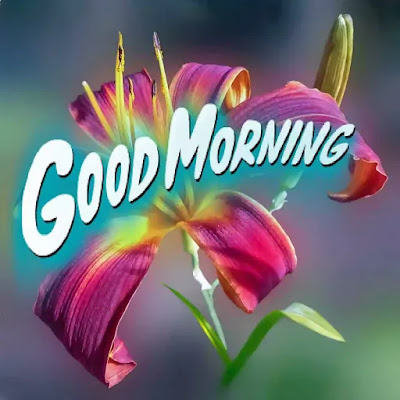 Good Morning Images Good Morning Images