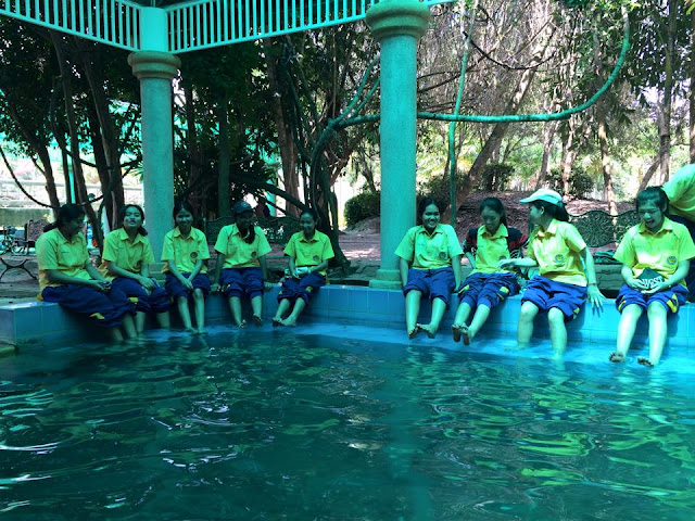 รูปภาพ