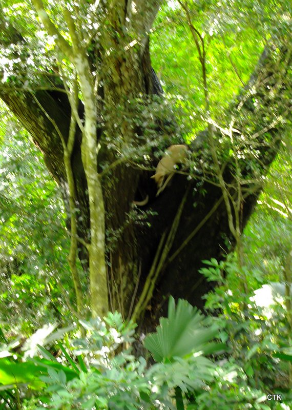 1-DSCF1484.jpg