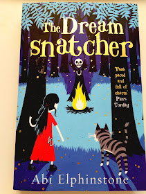 The dreamsnatcher paperback book