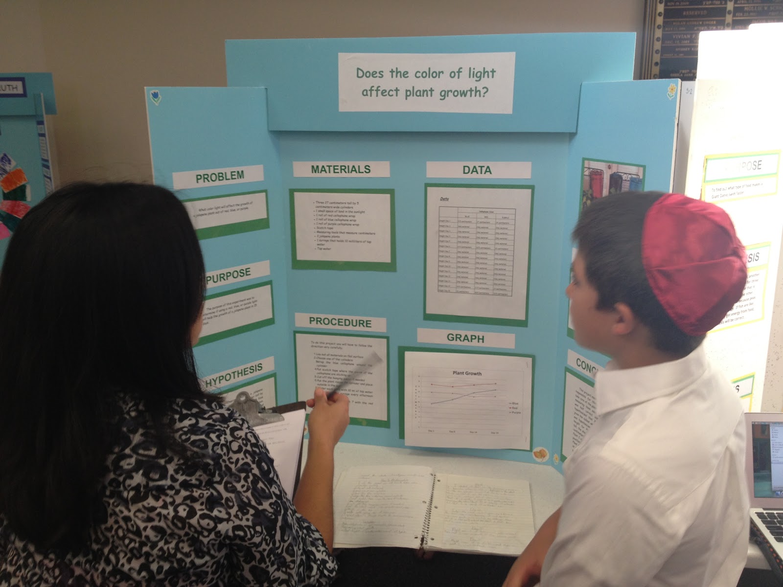 Ms. Social Studies: Science Fair Projects