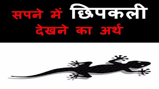  sapne mein chipkali, sapne mein chipkali bhagana, sapne mein chipkali dekhna, sapne mein chipkali dekhna kaisa hota hai, sapne mein chipkali dekhna shubh shubh ya ashubh, sapne mein chipkali dekhne ka matlab, sapne mein chipkali dekhne se kya hota hai, sapne mein chipkali dikhai dena, sapne mein chipkali girna, sapne mein chipkali ka baccha dekhna, sapne mein chipkali ka katna, sapne mein chipkali katna, Sapne mein chipkali ko marna, sapne mein chipkali ko marna dekhna, sapne mein chipkali ko marna kaisa hota hai, sapne mein chipkali ko marne ka matlab, sapne mein chipkali ko marte dekhna, sapne mein chipkali ko pakadna, sapne mein chipkali ko pakadne ka matlab, sapne mein chipkali ko pakadte dekhna, sapne mein chipkali sar par girna, sapne mein chipkali se darna, sapne mein chipkali se darne ka matlab, sapne mein chipkali se darte dekhna, sapne mein chipkali se darte hue dekhna, sapne mein chipkali sharir par chadhna, sapne mein chipkali sharir par girna, sapne mein chipkali sir par girna, sapne me chipkali bhagana, sapne me chipkali dekhna, sapne me chipkali dekhna kaisa hota hai, sapne me chipkali dekhna kaisa mana jata hai, sapne me chipkali dekhna kya hai, sapne me chipkali dekhna kya hota hai, sapne me chipkali dekhna kya matlab hota hai, sapne me chipkali dekhna shubh hota hai, sapne me chipkali dekhna shubh ya ashubh, sapne me chipkali dikhai dena, sapne me chipkali dikhna, sapne me chipkali girna, sapne me chipkali ka baccha dekhna, sapne me chipkali ka hamla, sapne me chipkali ka joda dekhna, sapne me chipkali ka katna, sapne me chipkali ka sarir par chadhna, sapne me chipkali ka sir par girna, sapne me chipkali khana, sapne me chipkali ko marna, sapne me chipkali mari dekhna, sapne me chipkali sar par girna, sapne me chipkali se darna, sapne me mari chipkali dekhna, सपने में छिपकली का काटना, सपने में छिपकली का जोड़ा देखना, सपने में छिपकली का बच्चा देखना, सपने में छिपकली का शरीर पर चढ़ना, सपने में छिपकली का सिर पर गिरना, सपने में छिपकली का हमला, सपने में छिपकली को मारना, सपने में छिपकली खाना, सपने में छिपकली गिरना, सपने में छिपकली दिखना, सपने में छिपकली दिखाई देना, सपने में छिपकली देखना, सपने में छिपकली देखना कैसा होता हैं, सपने में छिपकली देखना क्या है, सपने में छिपकली देखना शुभ होता है, सपने में छिपकली भगाना, सपने में छिपकली मरी देखना, सपने में छिपकली सर पर गिरना, सपने में छिपकली से डरना, सपने में मरी छिपकली देखना