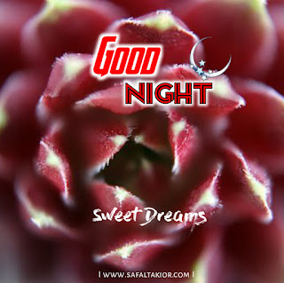 good night rose image